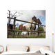 Horses Wall Mural