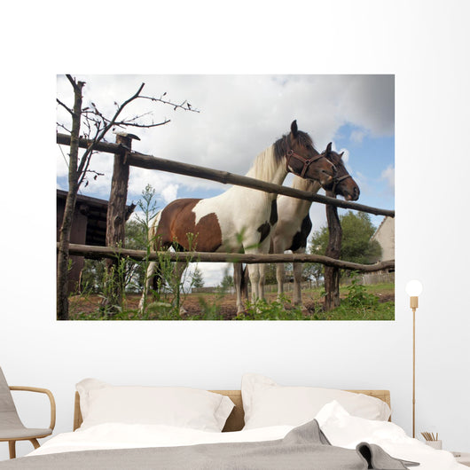 Horses Wall Mural