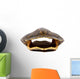Turtle Shell
