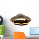 Turtle Shell