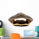 Turtle Shell