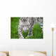 Beautiful Portrait Snow Leopard Wall Mural