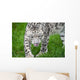 Beautiful Portrait Snow Leopard Wall Mural