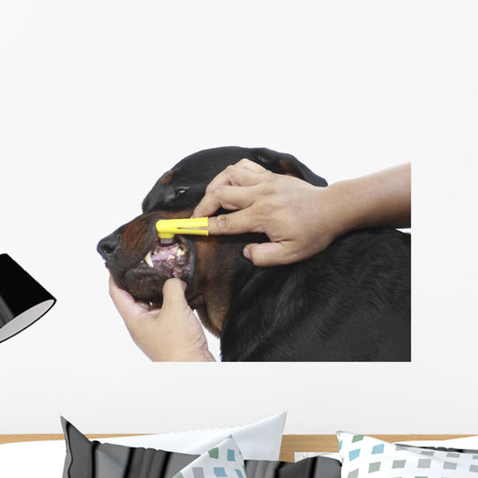 Brush Dog