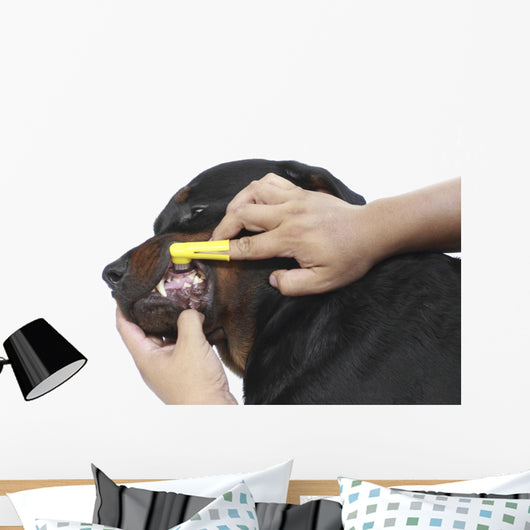 Brush Dog
