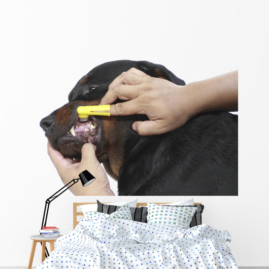Brush Dog