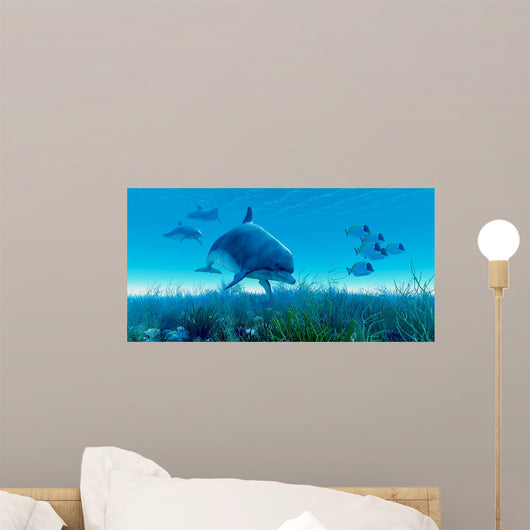 Dolphin Pod