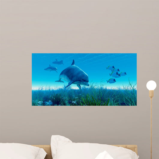 Dolphin Pod