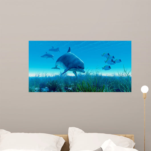 Dolphin Pod