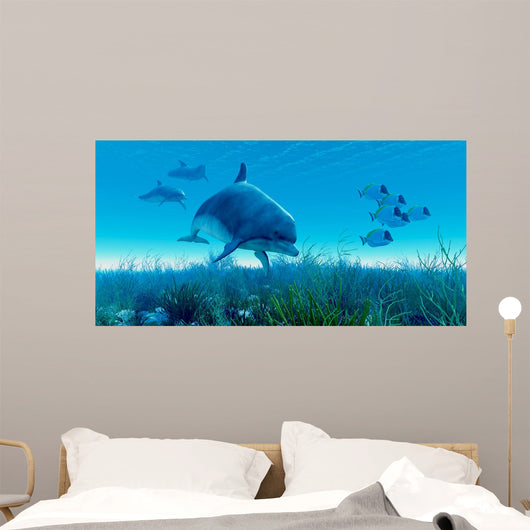 Dolphin Pod