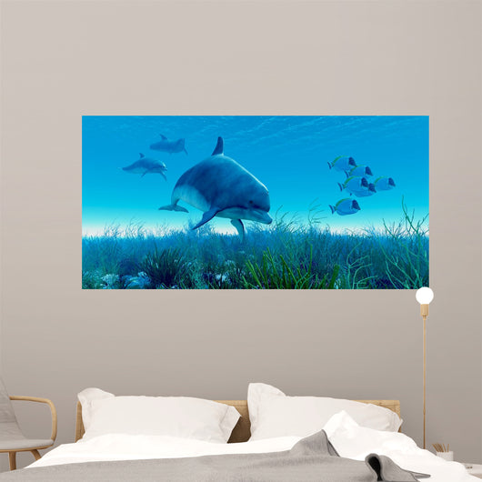 Dolphin Pod