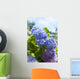 Blue Hydrangea Flowers