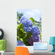 Blue Hydrangea Flowers