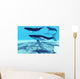 Whale Pod