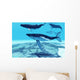Whale Pod