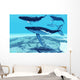Whale Pod