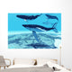 Whale Pod