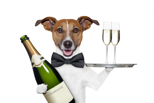 Dog Toasting