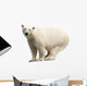 Polar Bear over White