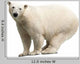 Polar Bear over White