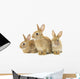 Three Brown Rabbits