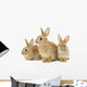 Three Brown Rabbits