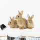 Three Brown Rabbits