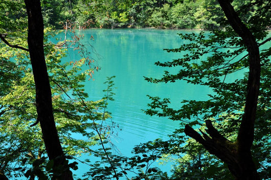 Beautiful Turquoise Lake Plitvice Wall Mural