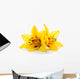 Two Yellow Lily