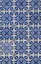 Portuguese Glazed Tiles Wall Mural