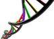 Genetic Genome Dna Wall Decal