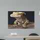 Crested Gecko Rhacodactylus Ciliatus Wall Mural