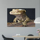 Crested Gecko Rhacodactylus Ciliatus Wall Mural