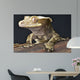 Crested Gecko Rhacodactylus Ciliatus Wall Mural