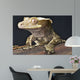 Crested Gecko Rhacodactylus Ciliatus Wall Mural