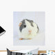 Grey Guinea Pig Wall Decal