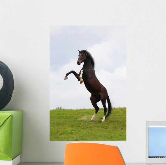 Rearing Horse Wall Mural