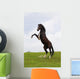 Rearing Horse Wall Mural