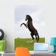 Rearing Horse Wall Mural