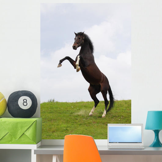 Rearing Horse Wall Mural