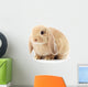 Lop-Eared Rabbit Wall Decal