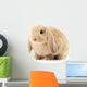 Lop-Eared Rabbit Wall Decal