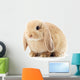 Lop-Eared Rabbit Wall Decal