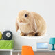 Lop-Eared Rabbit Wall Decal