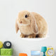 Lop-Eared Rabbit Wall Decal