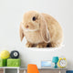 Lop-Eared Rabbit Wall Decal