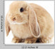 Lop-Eared Rabbit Wall Decal