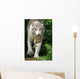 White Tiger Wall Mural