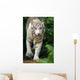 White Tiger Wall Mural