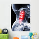 Spinal Backstroke Wall Mural